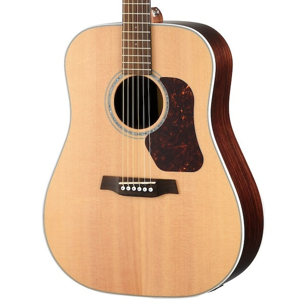 Walden D800EW Western gitar (naturlig)