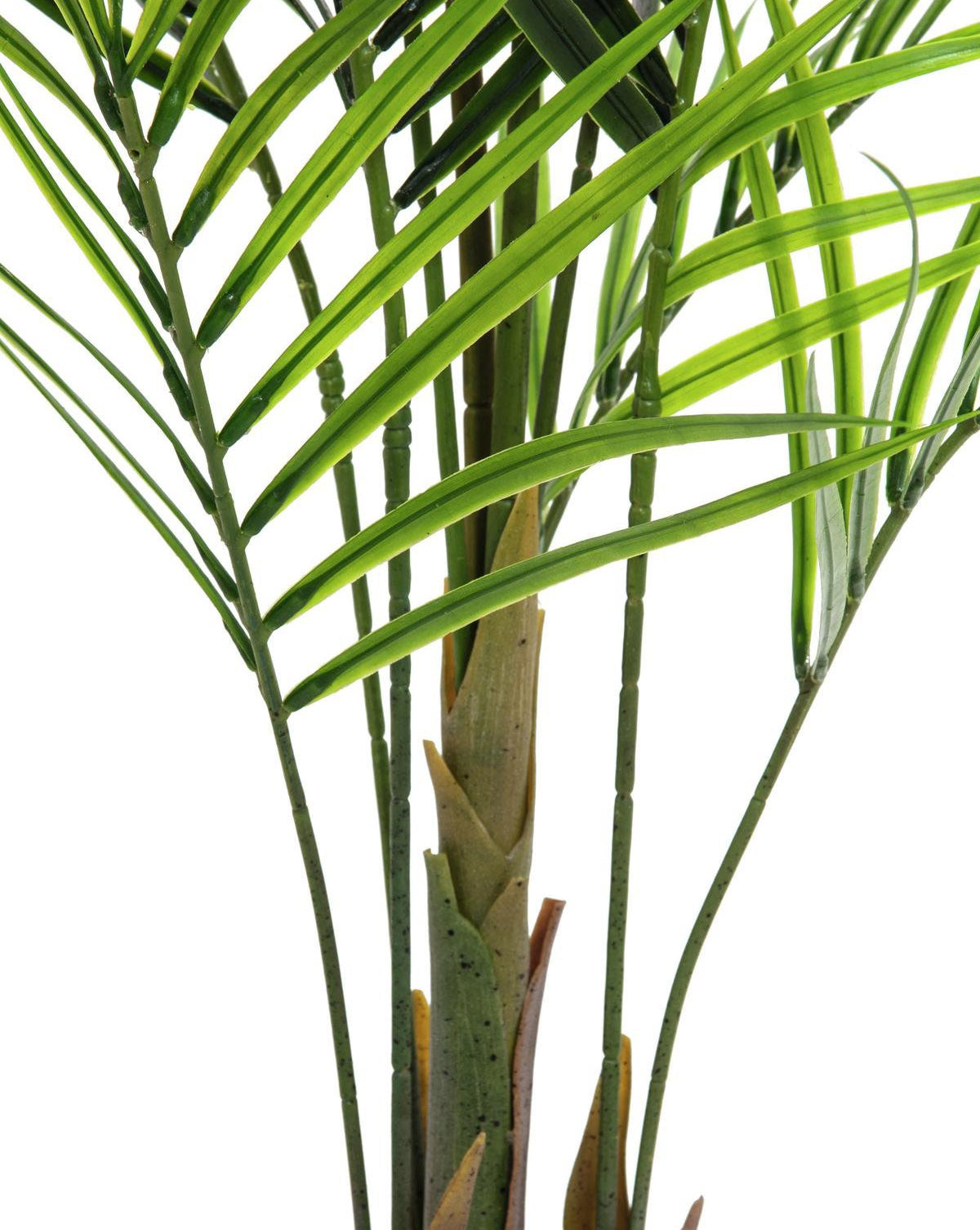 Kunstig Areca palme m. Store Blade (165cm)