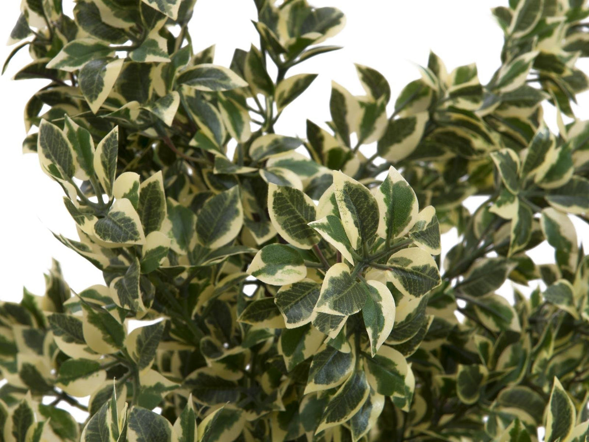 Kunstig Woodficus Silverleaf, 120 cm.