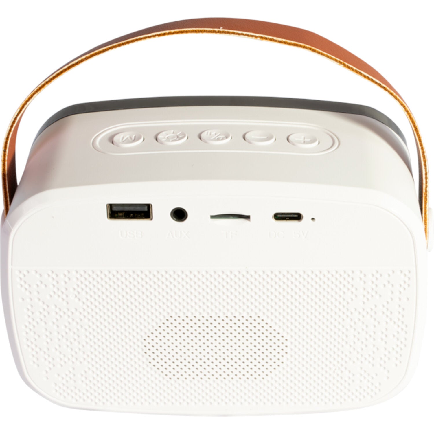 Ibiza Smart Karaoke Bluetooth-høyttaler med 2 trådløse mikrofoner