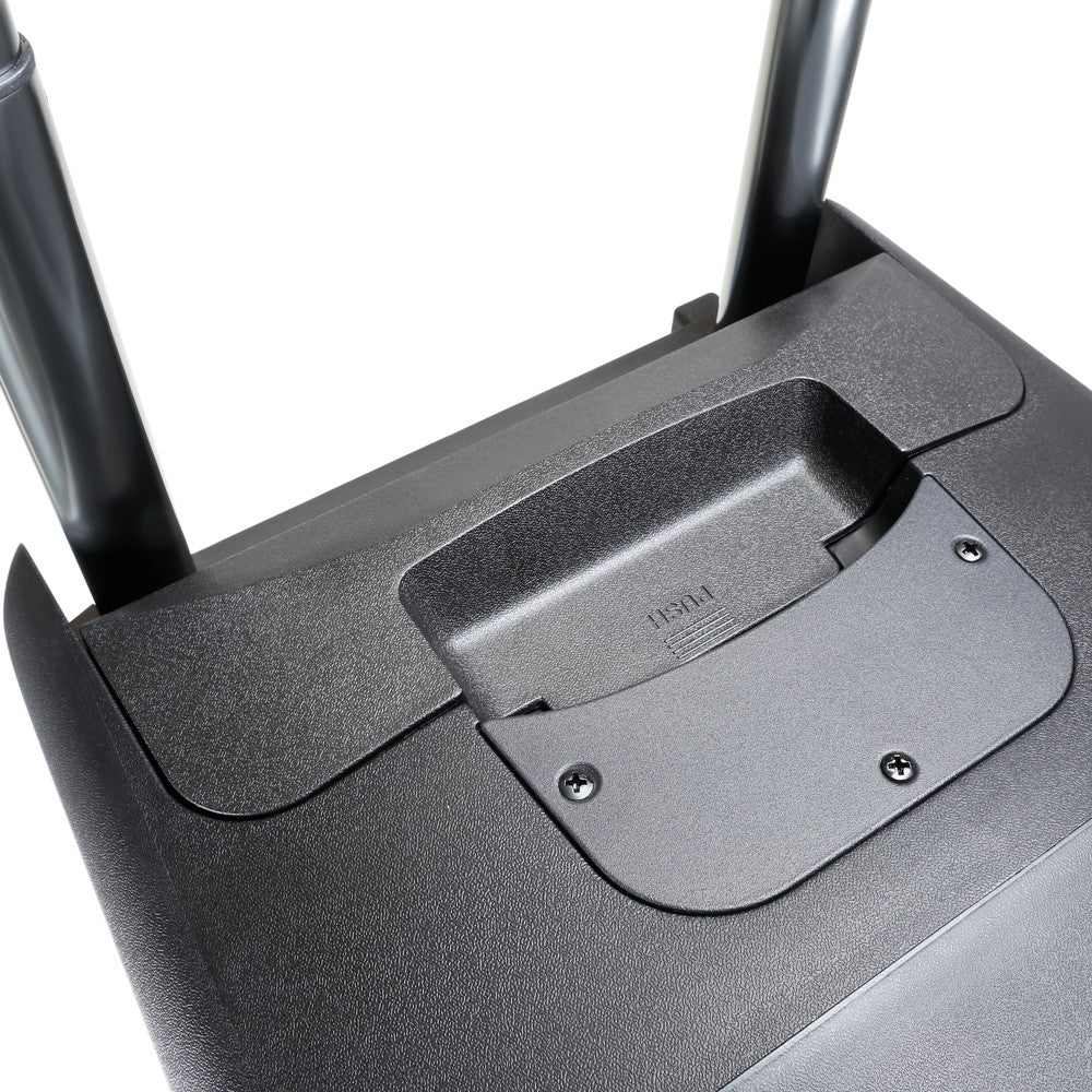 LD Systems Road Buddy 10 BPH 2 høyttaler (480W)