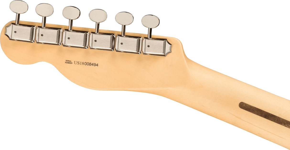 Fender American Performer Telecaster elektrisk gitar (aubergine)