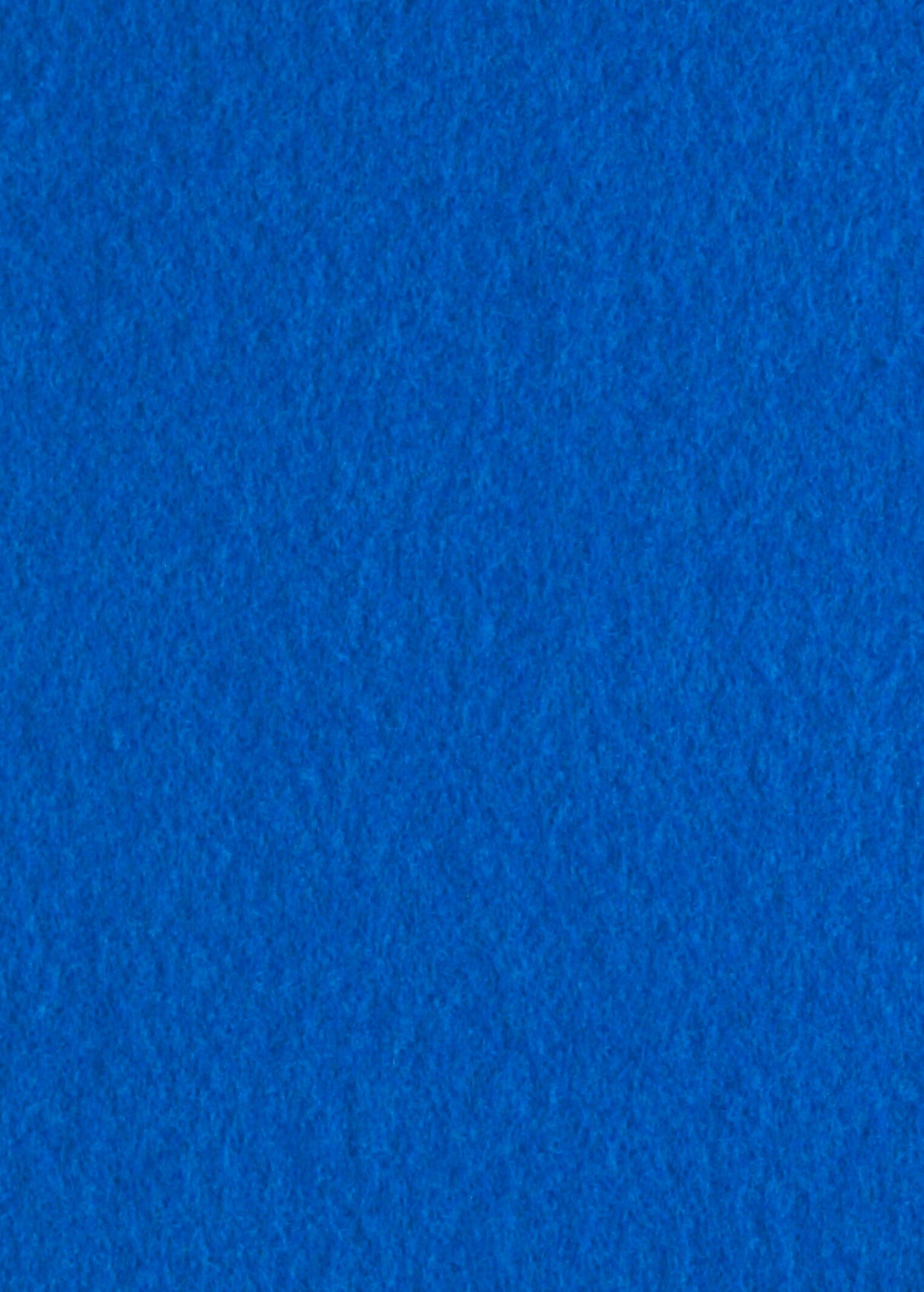 Blue Runner (2 x 50m)