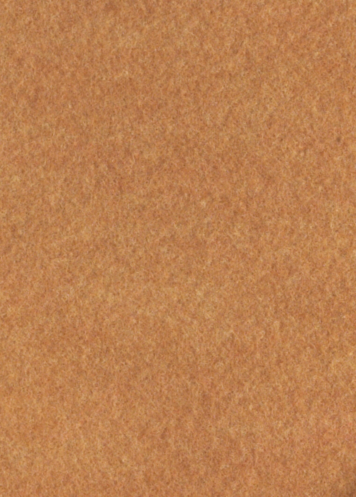 Lys brun løping (2 x 50 m)