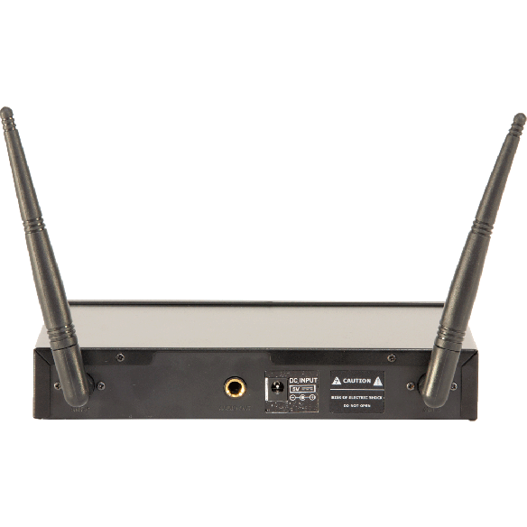 Ibiza trådløst mikrofonsystem (2 kanaler)