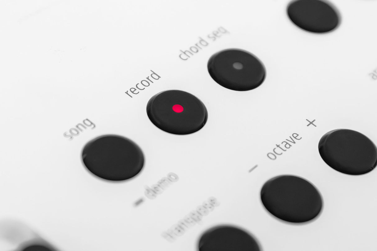 Roland GO:KEYS 5 Keyboard (hvit)