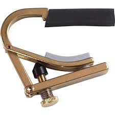 Shubb C8B Delvis Capo