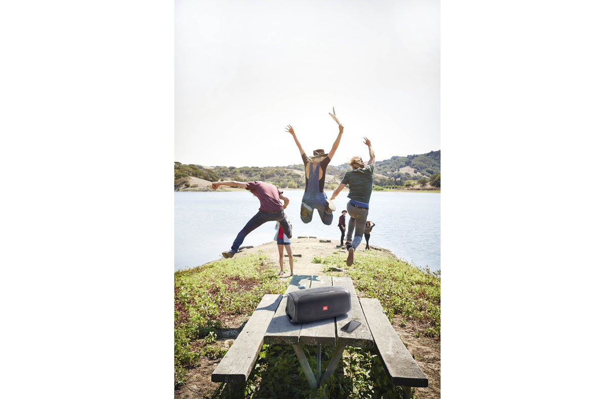 JBL BASS PRO GO alt-i-ett subwoofer og bærbar høyttaler