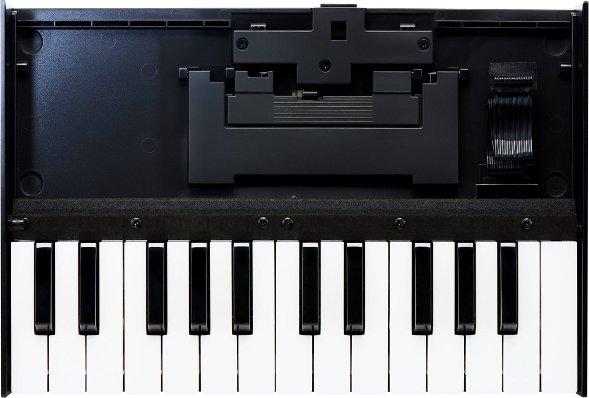 Roland Boutique K-25M
