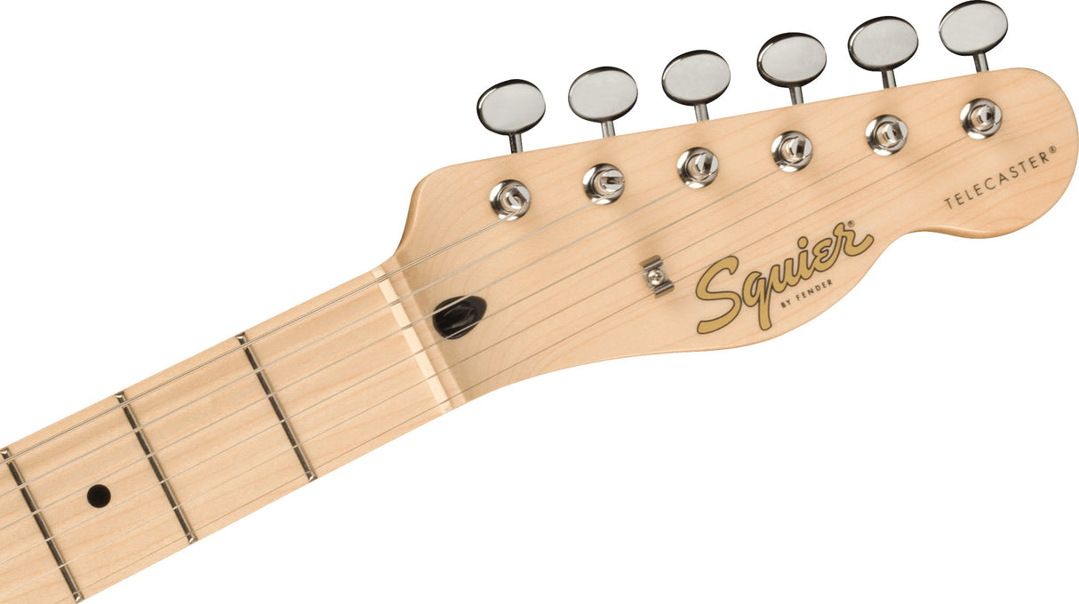 Fender Squier Paranormal Carbonita Telecaster Thinline elektrisk gitar ( Sunburst )