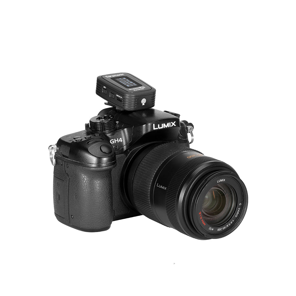 Blink 500 Pro RX-mottaker (TRS)