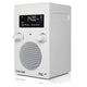 Tivoli Audio PAL+BT DAB+/ Bluetooth høyttaler (hvit)