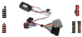 29-606 Interface for Ford