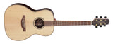 Takamine GY93-NAT