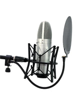 Pop filter