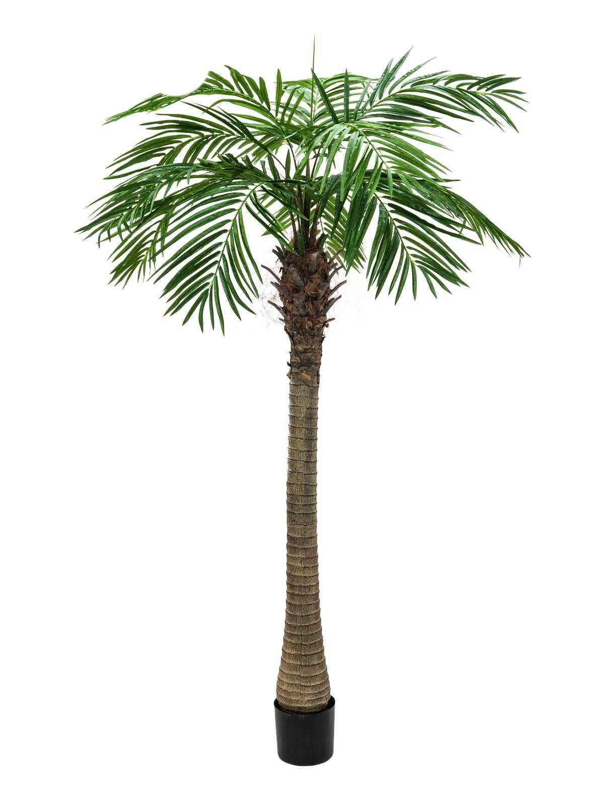 Kunstig Phoenix Palmetr¾ Luxor (240 cm)