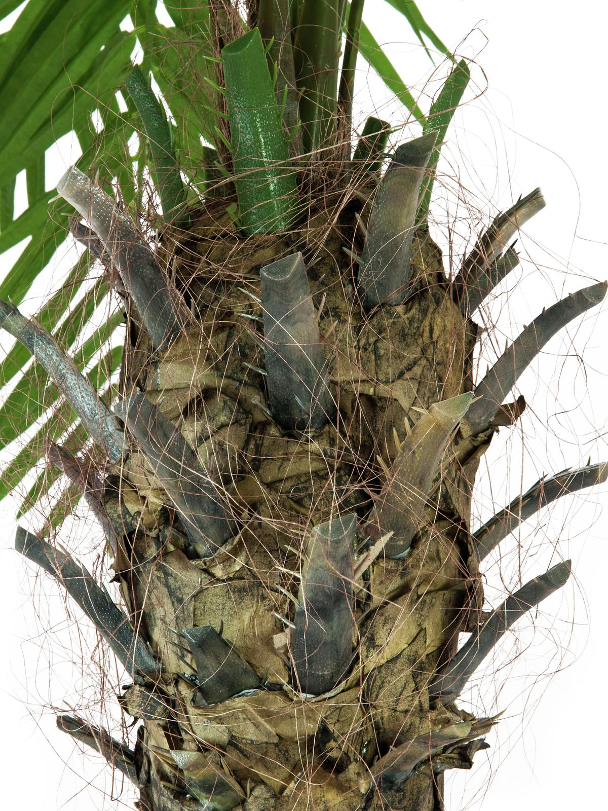 Kunstig Phoenix Palmetr¾ Luxor (240 cm)