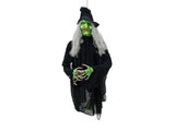 Halloween flyvende heks