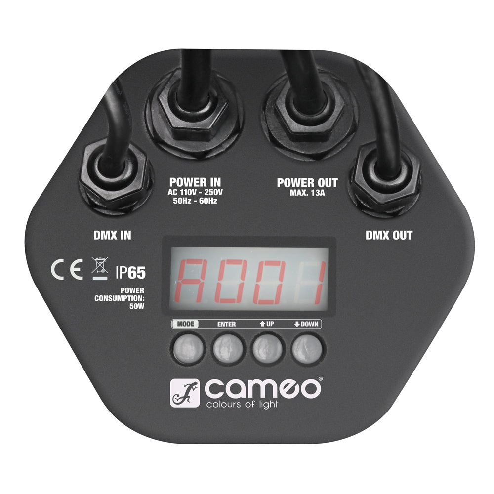 Cameo utendørs PAR-lampe RGB IP65 (12x3W)