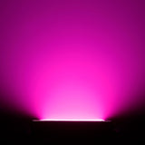 Cameo Thunder Wash 600 RGBW Strobe