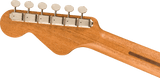 Fender Highway Series Parlor (helt mahogni)