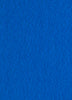 Blue Runner (2 x 50m)