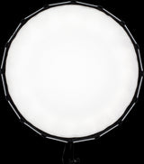 NanLite Satellite Softbox for Forza 60