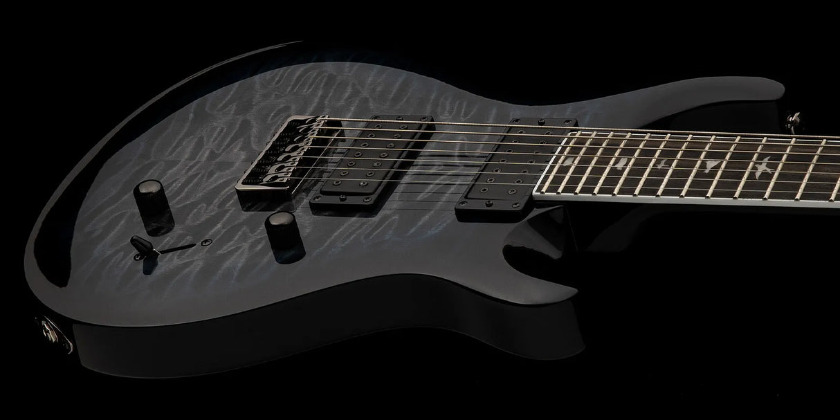 PRS SE SVN Holcomb elektrisk gitar (Holcomb Blue Burst )