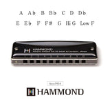 Hammond HA-20 Munnspill (G)