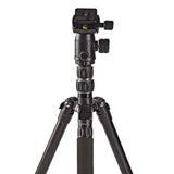 Stativ (svart, 3 kg, 145 cm)