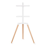 TV gulvstativ (hvit, bøk, 50-65")