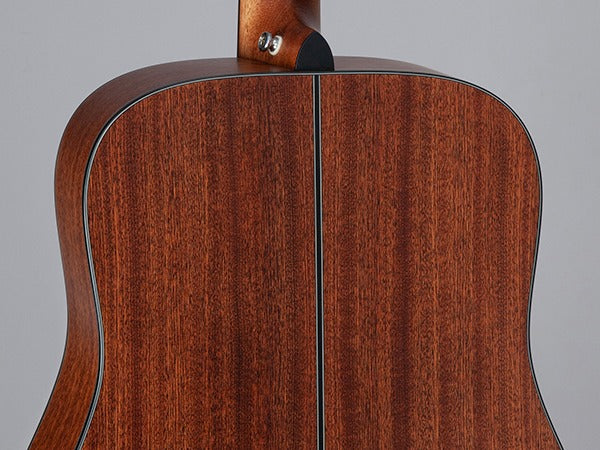 Takamine GD10-NS Western gitar (naturlig)