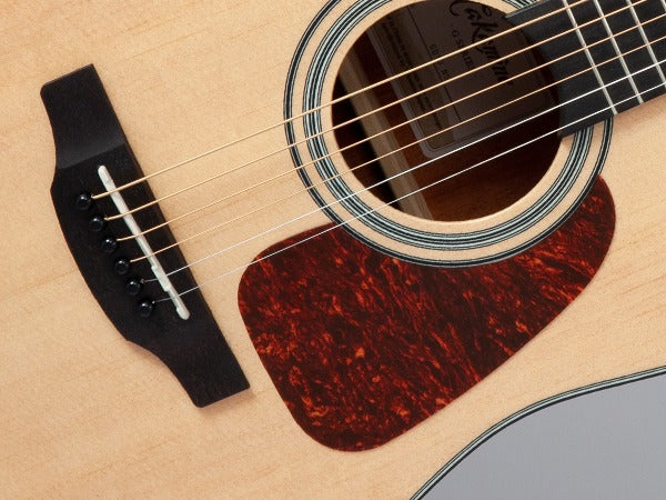 Takamine GD10-NS Western gitar (naturlig)