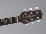 Takamine GD10-NS Western gitar (naturlig)