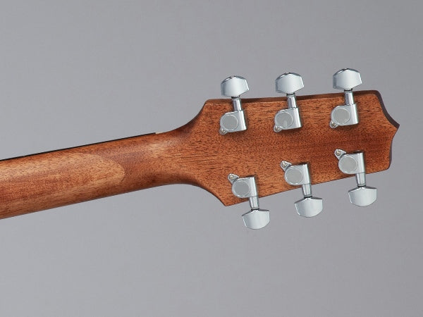 Takamine GD10-NS Western gitar (naturlig)
