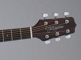 Takamine GD10CE NS Western gitar (naturlig)