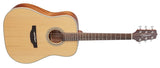 Takamine GD20-NS Western gitar (naturlig)