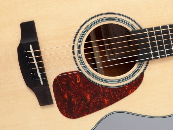 Takamine GN10-NS Western gitar (naturlig)