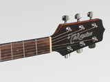 Takamine GN11MCE-NS Nex Body Western gitar (naturlig)