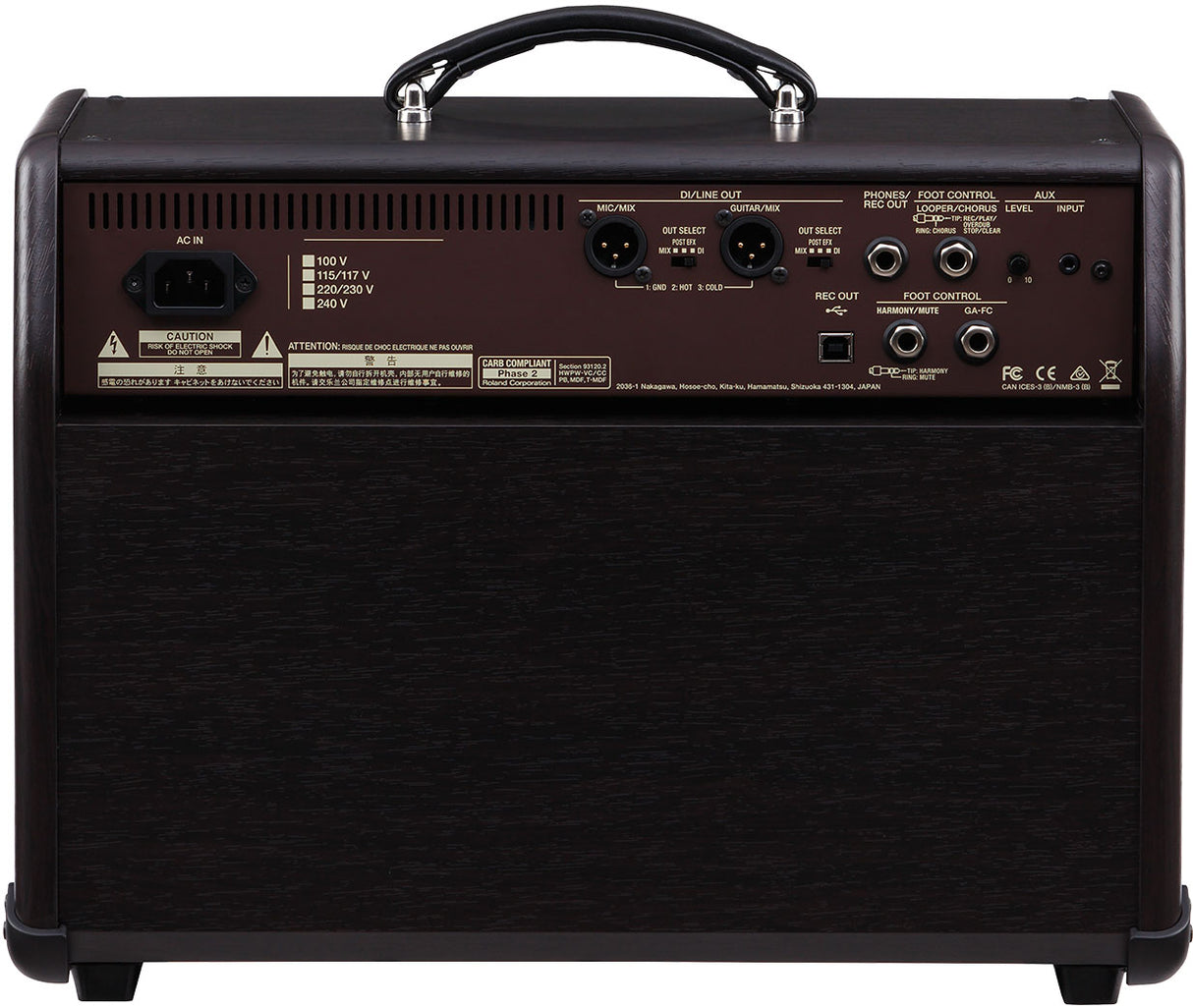 Boss ACS- PRO gitarforsterker