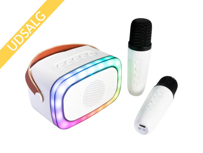 Ibiza Smart Karaoke Bluetooth-høyttaler med 2 trådløse mikrofoner